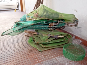 1227 b0ac51e2 b1a0 43c2 ad92 a01c9864ec71 gnr2