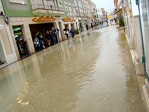 1436 0f55c0e1 9a50 4075 841e 0fc685b8b8ce a4