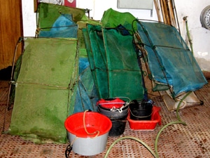 1578 9d0c60c3 42d2 4e61 a926 8543f64e6a5f gnr3