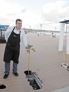 1648 61ea3cb6 b6a7 4be7 ba4d 0d1a4284bde4 deck1