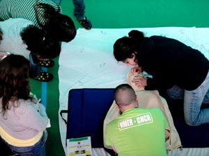 2230 d3c92c55 6b03 43dc b7ae 25863d26abfe gestos 2230 d3c92c55 6b03 43dc b7ae 25863d26abfe gestos