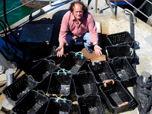 2451 13cd8463 d5fc 468d a358 7f33b5b503de pesca 2451 13cd8463 d5fc 468d a358 7f33b5b503de pesca