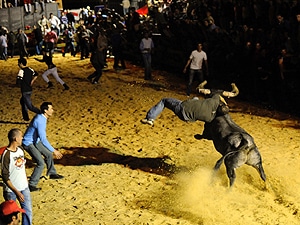 2590 5d6c94e6 1500 491c b15c fd36f5872d99 largada