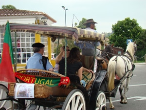 3012 ee151feb 68c0 4574 9297 3bc8c38c13f2 charretes