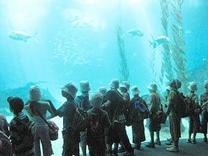 3196 dd47c586 0985 48d0 bd3c e0a2cc8007d3 a 3196 dd47c586 0985 48d0 bd3c e0a2cc8007d3 a