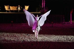 3607 3c317717 bf8e 47ea a820 391563fe5dcf equestre