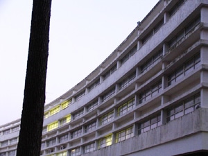 3613 465681fe def6 417a b8ed 97f535f3097a ipl