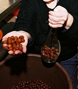 3691 f3cb3f36 01bf 4165 8c04 a4785d1405b5 ginja