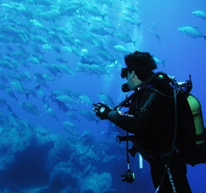 3760 e3c57652 67bd 4b0e b6ed 73cd140897a3 mergulho