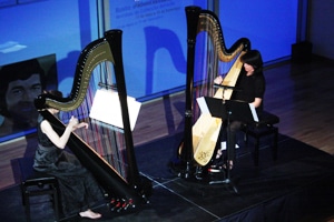 3848 dea9f9b6 14c8 4b7f 8509 d55a7c714e92 harpas