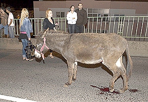 4652 6038c6e7 9e51 4fb8 9ed3 b7b316b75928 aaa13