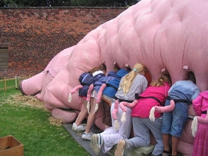 4780 917aa222 b6ea 41d7 bdec 21f1cd047738 pig