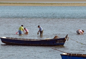 4888 d1703158 3393 4564 b58e 6ad692794d29 apanha 4888 d1703158 3393 4564 b58e 6ad692794d29 apanha