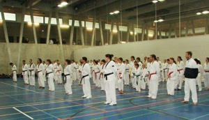 5601 ae1279f0 4523 4f4b 899d 275507c50529 taekwondo 5601 ae1279f0 4523 4f4b 899d 275507c50529 taekwondo