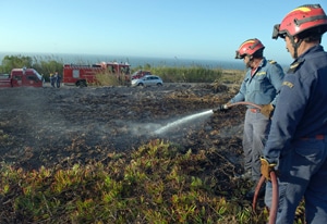 5621 f449067d 0f37 4c1c af57 af01f44e8a7e florestal 5621 f449067d 0f37 4c1c af57 af01f44e8a7e florestal