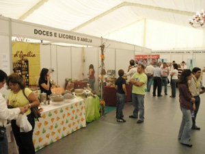 5679 c0a52373 ae4e 437f a98f b20839af511e adiafas1