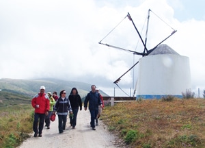 5701 02082424 627c 4773 9f5d c46f65cfc5b9 rota