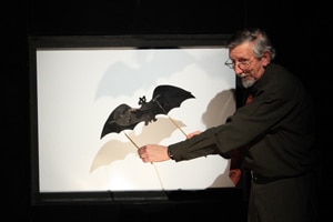 6333 28712ee1 9559 4599 8c16 b9834b1e8dad marionetas