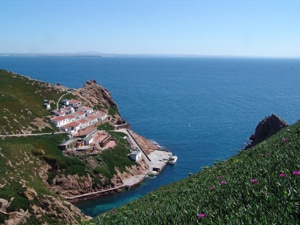 6401 8c758913 f12f 4418 b969 4947b0f5f940 berlenga