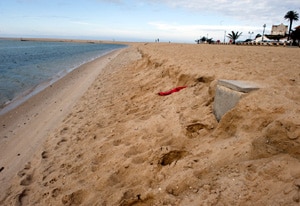 7238 cf573e34 3f23 4f98 81d8 ee23f222e0aa lagoa