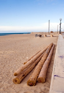 7245 65f50616 b427 45d5 ad40 0b64fb3acc9c troncos 1