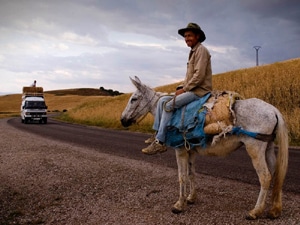 7265 cf681fb1 f456 4ab4 9682 f13474c2bdc4 marrocos