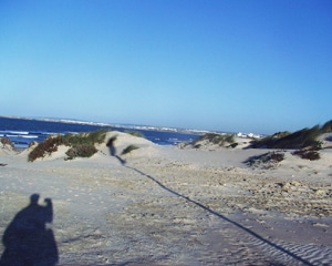 8601 f6461794 480f 45bd a663 5efbb9d04edf baleal