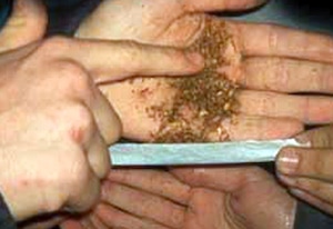 8831 e0922c7e 4620 4d24 b7c3 dcdd89ab63cd haxixe 1