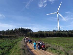 8872 990fa17c 46cb 4848 b1a7 8b723260c6be serra