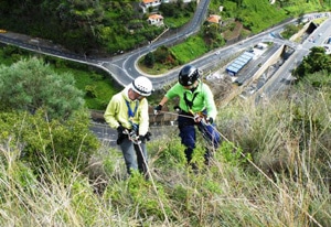 9462 4a50be43 0a46 4240 a90f 5f762737efd1 fenix 1