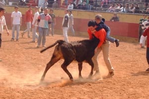 9606 833d3dab 0f35 49e9 9410 ebfc11187c49 tauro 9606 833d3dab 0f35 49e9 9410 ebfc11187c49 tauro