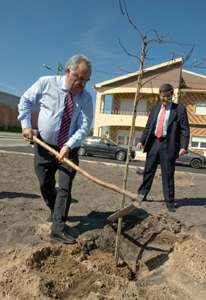 9608 b9b484e8 04f7 4ba7 b76e 8ead91e81667 arvores 9608 b9b484e8 04f7 4ba7 b76e 8ead91e81667 arvores