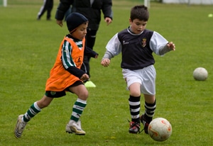 10262 724fac7e 0baf 4d77 af9f 4019a4951cf2 escolas 1