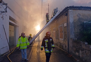 10486 49a6f667 2d30 4c15 bde4 69dd9a9f659d devoluta