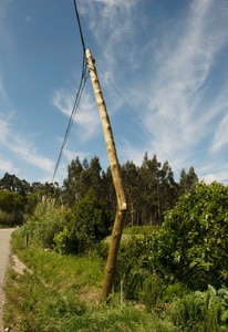 10489 4ebdcc12 a040 42aa 8adc 5f2b34ad1437 poste1