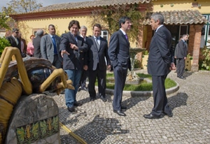 10504 f1f6ab5a 8131 4838 80a7 fb2b58a69058 bordalo