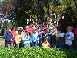 11899 dae16b5d 7e80 44fb a641 b9e6aa8fcdc3 museu