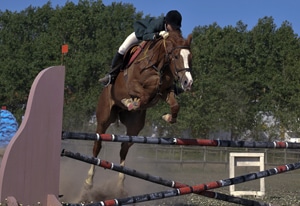 11979 f5db92d4 326d 4b4a 9ce1 0737be7a5b4a equestre 1 11979 f5db92d4 326d 4b4a 9ce1 0737be7a5b4a equestre 1