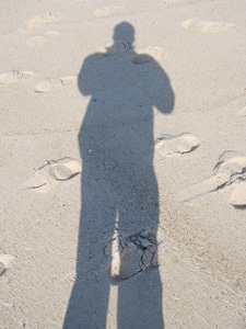 13386 c93230d2 e5bc 48b5 a6b6 71a9b7569837 lucas 13386 c93230d2 e5bc 48b5 a6b6 71a9b7569837 lucas