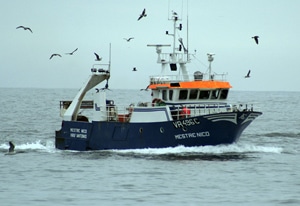 13419 9e3a1c35 f3d7 4e24 8029 81aa14838d34 naufragio 1