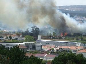 13545 48909284 8453 49ed bb08 28bd84c1f2d8 fogo 13545 48909284 8453 49ed bb08 28bd84c1f2d8 fogo