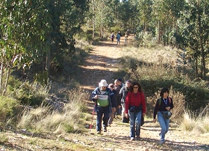 13586 db79c1cd deb4 4626 b82b 43289252b72c cercal