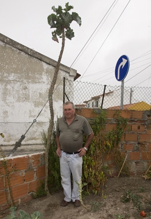 13588 172abe66 22cb 4841 b24a b5e3c75a8485 couves