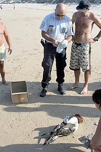 14386 6d590d18 ece8 40f8 93d0 cbf771f46b18 ave