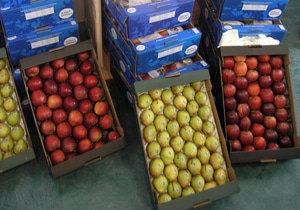 17103 6f8fabe9 8e6b 48ba 9a12 5634f34a5f6c loja