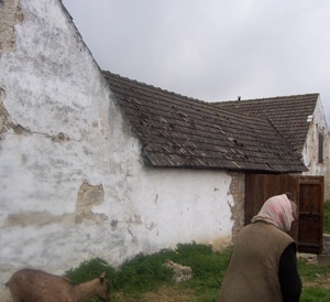 17491 e77f66bd 3ddb 4e08 9a16 379a3b27f2e3 maria