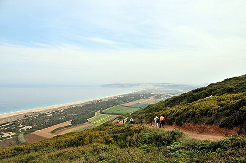 56153 1920306c 564a 4664 b30b 5fc18dc72b06 salgado 56153 1920306c 564a 4664 b30b 5fc18dc72b06 salgado