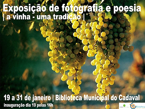 56229 7b404ceb d5d2 4157 b8ab 10fcdee7d7fa cadaval 56229 7b404ceb d5d2 4157 b8ab 10fcdee7d7fa cadaval