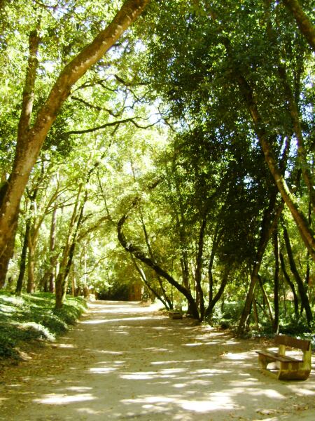 56247 546be9d2 5a88 44db 96d8 55c6301cadc4 mata