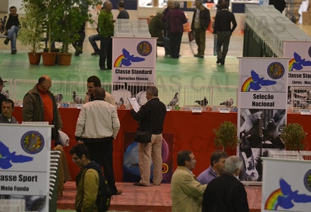 56263 242d1227 606d 4f1d afa0 5a30802da7a8 borrachos 1 56263 242d1227 606d 4f1d afa0 5a30802da7a8 borrachos 1